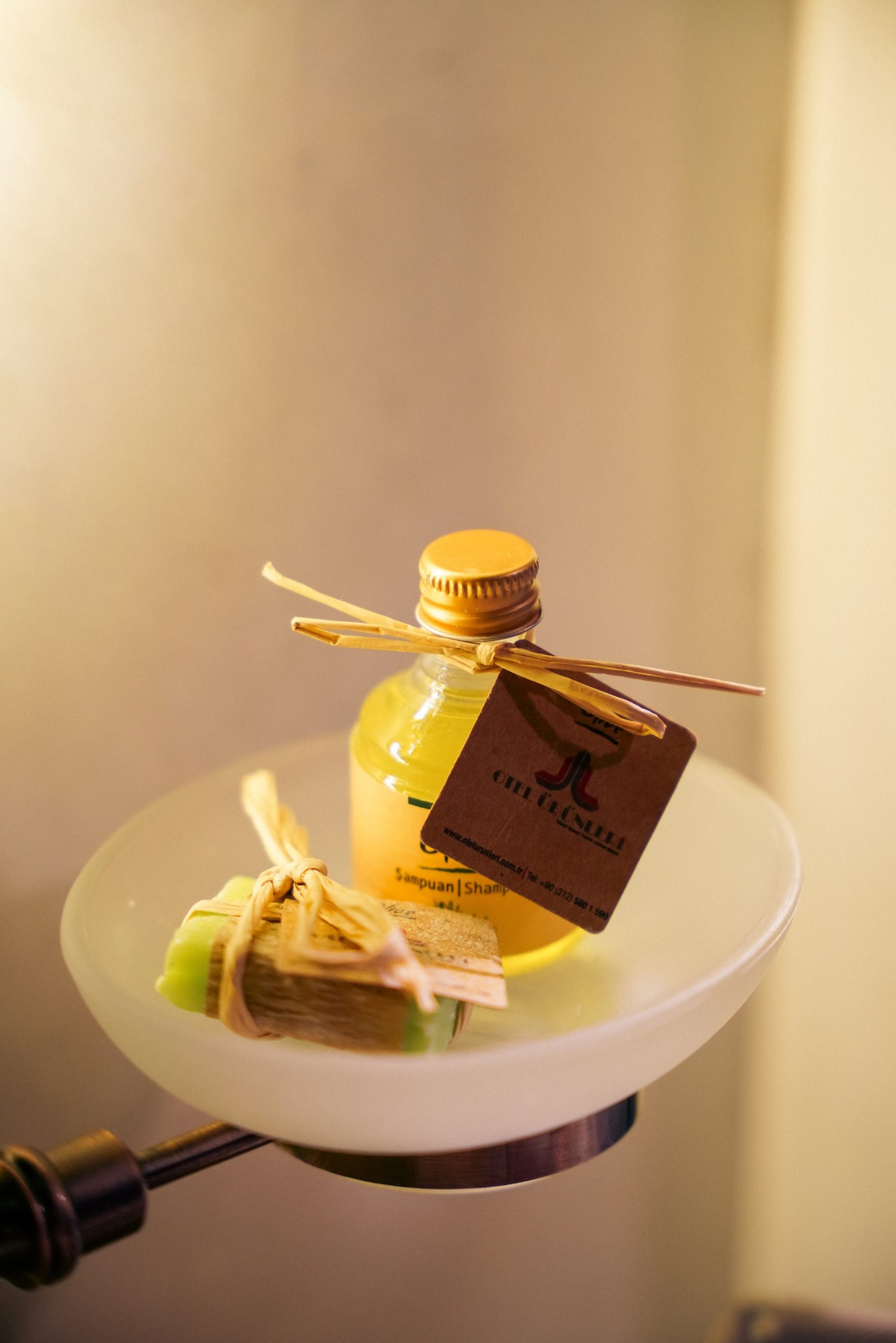 oda_apollon_genel-10-scaled