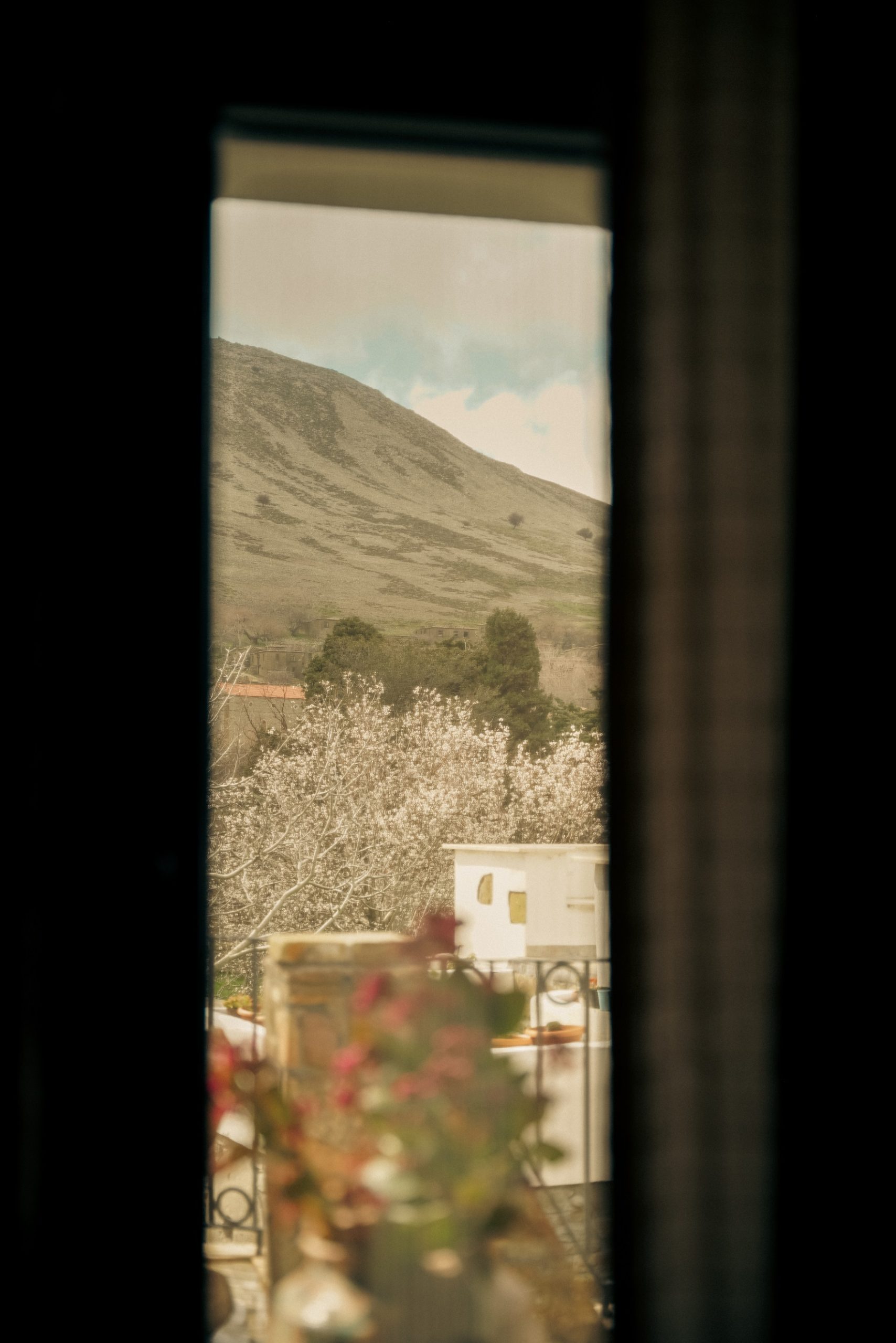 oda_apollon_genel-12-scaled